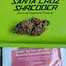 Patient Image of Hexacan® Avant WS T22 Wedding Sunset Medical Cannabis