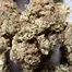 Patient Image of EcoCann Access BLU T17 Original Blueberry Medical Cannabis