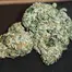 Patient Image of Redecan KS T28 King Sherb Medical Cannabis