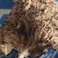 Patient Image of Green Karat KS T27 King Sherb Medical Cannabis