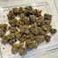 Patient Image of Lot420™ AB T27 Apples & Bananas Medical Cannabis