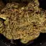Patient Image of Next Friday MTF T30 Mutant Tyre Fire Medical Cannabis
