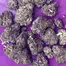 Patient Image of PharmaServ TC T16 Tropicana Cherry Medical Cannabis