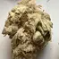 Patient Image of SafriCanna BCP T21 Black Cherry Punch Medical Cannabis