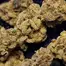 Patient Image of 4C Labs Value AKF T18 Alien Koffee Medical Cannabis