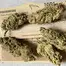 Patient Image of Curo® BCP T21-T22 Black Cherry Punch Medical Cannabis