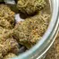 Patient Image of Kasa Verde WCK T29 White Cookies Medical Cannabis