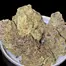 Patient Image of Green Karat FS T29 Fiji Sunset Medical Cannabis