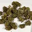Patient Image of Together Pharmacy GO T20 Glueberry OG Medical Cannabis