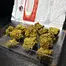 Patient Image of Costa Canna Dynamics Fortissimo T26 Liberty Haze Medical Cannabis
