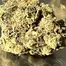 Patient Image of EastCann SP T31 Strawberry Pavé Medical Cannabis