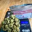 Patient Image of Together Pharmacy Cassiopeia T20 Ninja Medical Cannabis
