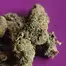 Patient Image of DOE Medical BRITZ T27 Britz Medical Cannabis