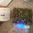 Patient Image of Khiron Satoline WW T18 White Widow (Cross) Medical Cannabis