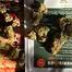 Patient Image of Therismos Access MSK T22 Miss Kim Medical Cannabis