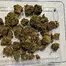 Patient Image of Big Narstie Medical AM T23 Ammy Medical Cannabis