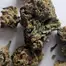 Patient Image of Noidecs T19 Mazar-i-Sharif Medical Cannabis