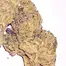 Patient Image of Dalgety HSOR T25 High Society (Oracle) Medical Cannabis
