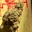 Patient Image of Therismos Access MSK T22 Miss Kim Medical Cannabis