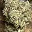 Patient Image of Lot420™ ROR T26-T28 Ripped Off Runtz Medical Cannabis