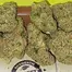 Patient Image of Next Friday MTF T30 Mutant Tyre Fire Medical Cannabis