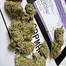 Patient Image of IPS DZ T26 Dirty Zest Medical Cannabis