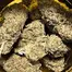Patient Image of Mystery Mountain™ STN LHZ T29 Seatown Lemon Haze Medical Cannabis