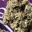 Patient Image of Mamedica® CHC T28 Chem Cookies #44 Medical Cannabis