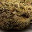 Patient Image of IPS PC T23 Permanent Chimera Medical Cannabis