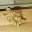 Patient Image of Dispensed Labs CLI T27 Kalifornia Medical Cannabis