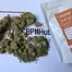 Patient Image of Clearleaf® GED T21 Gelato Dream Medical Cannabis