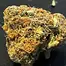 Patient Image of Green Joÿ BAG T27 Banana Gas Medical Cannabis
