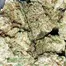 Patient Image of Tilray® T25 Gorilla Glue #4 Medical Cannabis