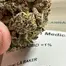 Patient Image of Kasa Verde LA T29 L.A. Baker Medical Cannabis