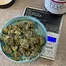 Patient Image of Noidecs T23 Green Gelato Medical Cannabis
