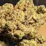 Patient Image of Papers™ AFC T28 Animal Face Cookies Medical Cannabis