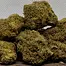 Patient Image of Dalgety BFL T28 Britney's Frozen Lemon Medical Cannabis
