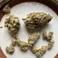 Patient Image of SafriCanna BCP T21 Black Cherry Punch Medical Cannabis