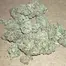 Patient Image of IPS BLU T26 Blunicorn Medical Cannabis
