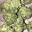Patient Image of Tilray® T22 Headband Medical Cannabis