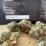 Patient Image of Upstate® SS T24 Scoops Medical Cannabis