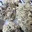 Patient Image of Humble Bud SC Smalls T25 Sticky Cake Medical Cannabis