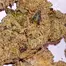 Patient Image of Dalgety HSOR T25 High Society (Oracle) Medical Cannabis