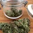 Patient Image of Noidecs T14 Shishkaberry Medical Cannabis