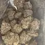 Patient Image of Cake & Caviar Organic BBYY T24 Blueberry Yum-Yum Medical Cannabis