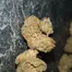 Patient Image of 4C Labs Craft ZG T21 Zero Gravity Medical Cannabis