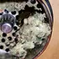 Patient Image of Ostara GC T30 Gas Cake Medical Cannabis