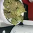 Patient Image of Noidecs T17 Shishkaberry Medical Cannabis