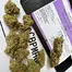 Patient Image of IPS DZ T26 Dirty Zest Medical Cannabis