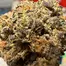 Patient Image of 4C Labs Premium ATD T29 Alaskan Thunder Medical Cannabis